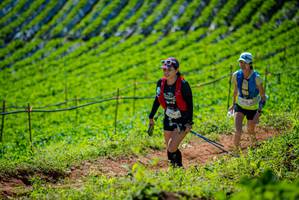 BIB: 
                            <button type="button" onclick="openModal(19163092)" class="btn btn-primary btn-sm float-right btn-popup" data-toggle="modal" data-target=".modal-high-quality">
                        <i class="fas fa-shopping-cart"></i> Add to Cart
                    </button>
                                            <button type="button" onclick="isThisMe(19163092, true)" class="btn btn-success btn-sm float-right btn-popup btn-isme hidden" data-toggle="tooltip" data-placement="bottom" title="นี่คือรูปของคุณใช่ไหม คลิกที่นี่เพื่อเอาเข้าอัลบั้ม">
                        <i class="fas fa-plus"></i> Add to album
                    </button>
                    <button type="button" onclick="isThisMe(19163092, false)" class="btn btn-warning btn-sm float-right btn-popup btn-isnotme hidden">
                        <i class="fas fa-ban"></i> Remove from album
                    </button>